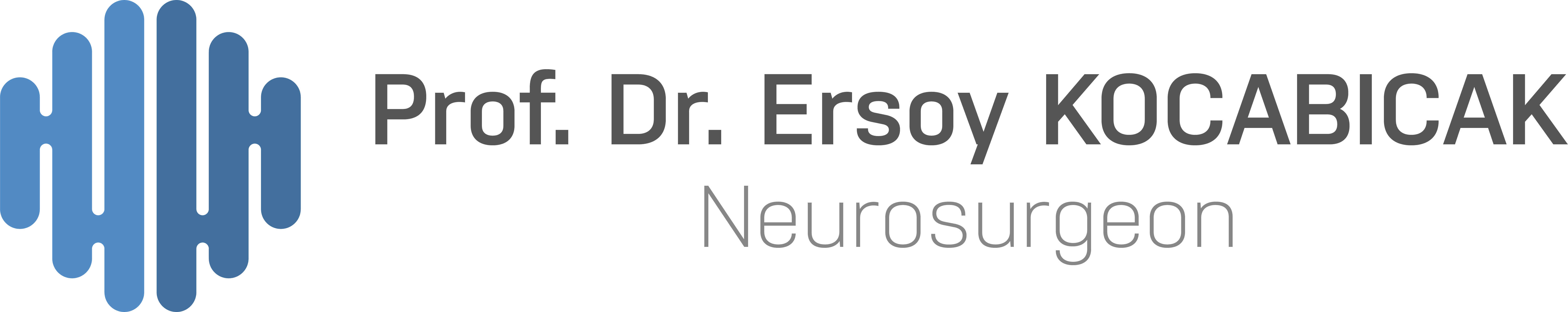 Prof. Dr. Ersoy Kocabıçak